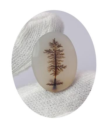 Dendritic Agates
