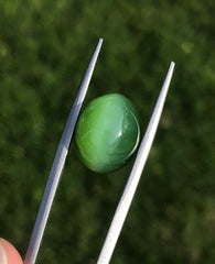 13.8ct - Green Cat’s Eye Nephrite Jade