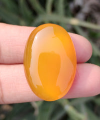 45ct Natural Carnelian Gemstone- Yellow Aqeeq  - 22x33mm