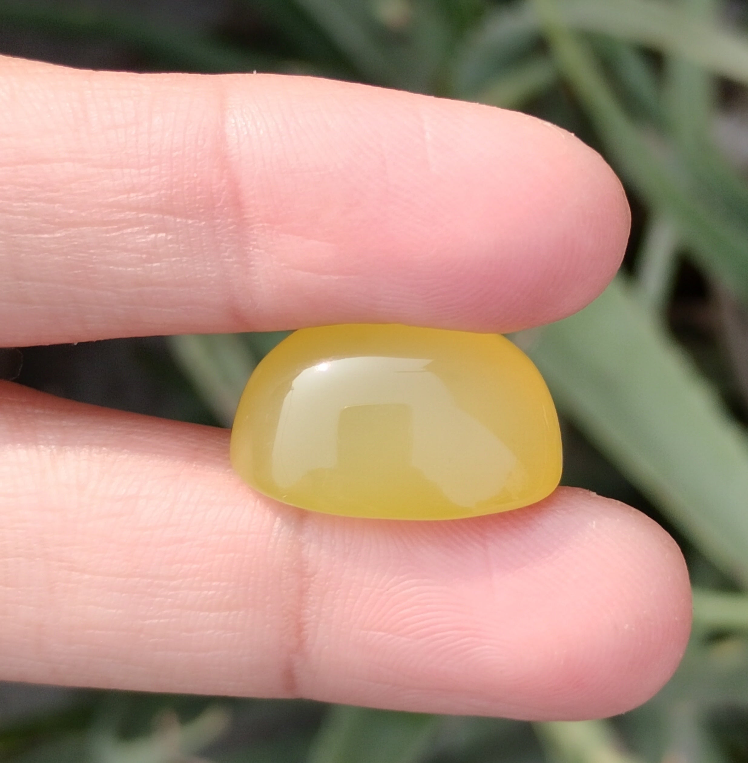 24.5ct Natural Carnelian Gemstone- Yellow Aqeeq- 14x21mm