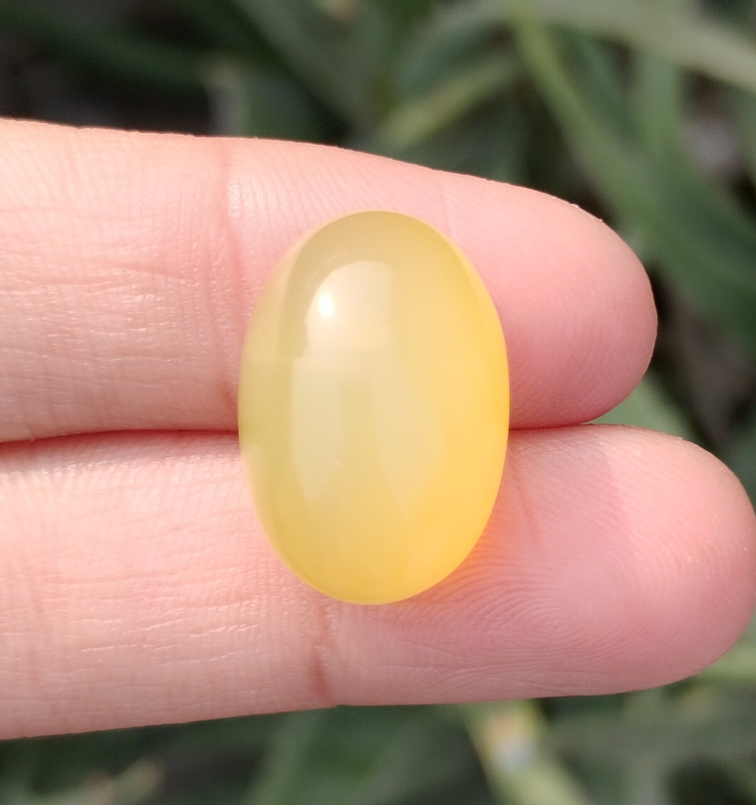 24.5ct Natural Carnelian Gemstone- Yellow Aqeeq- 14x21mm