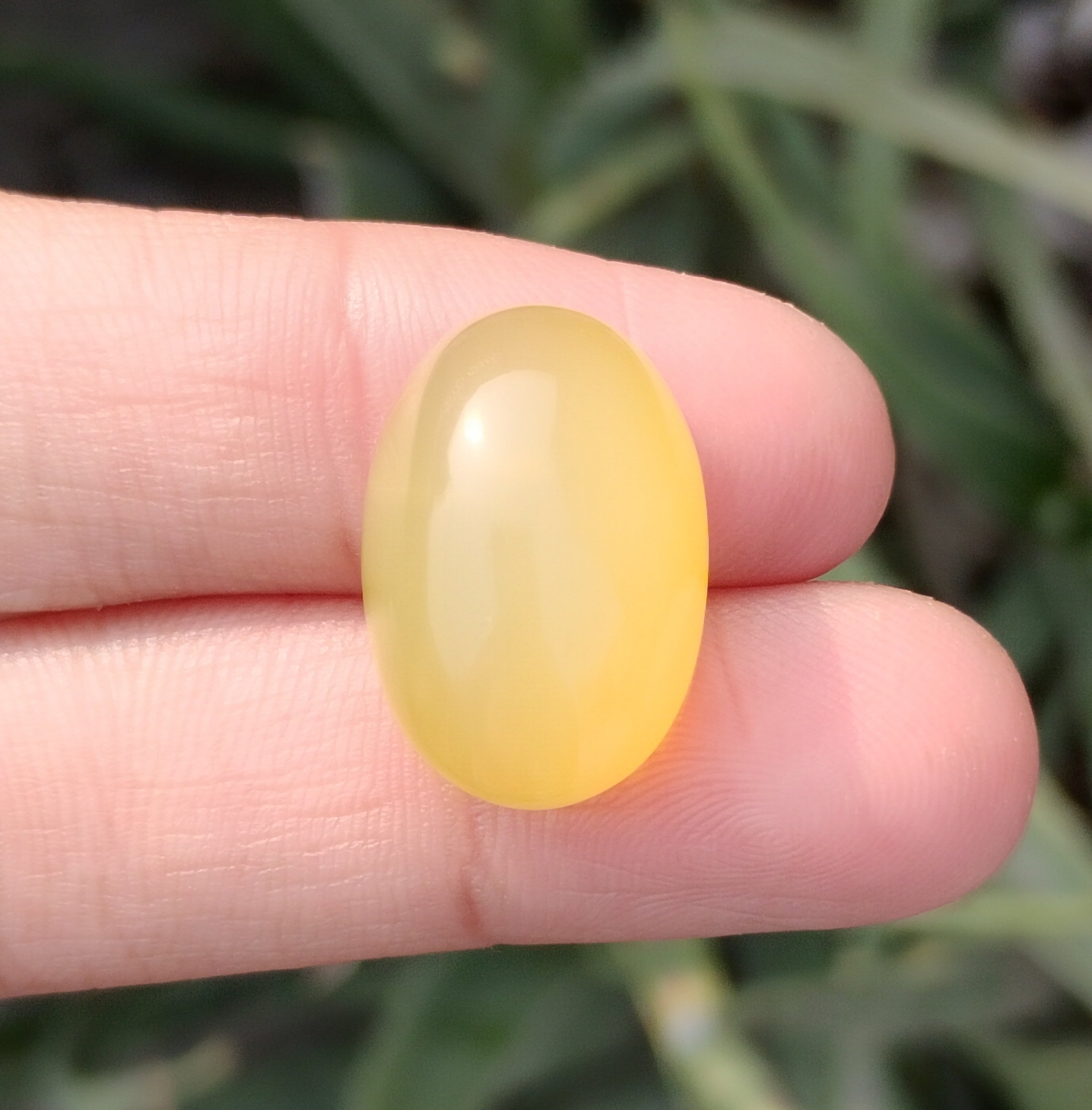 24.5ct Natural Carnelian Gemstone- Yellow Aqeeq- 14x21mm