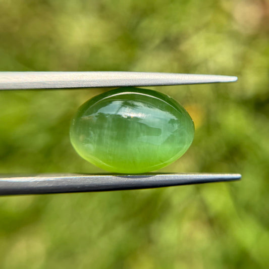 9.1ct - Green Cat’s Eye Nephrite Jade