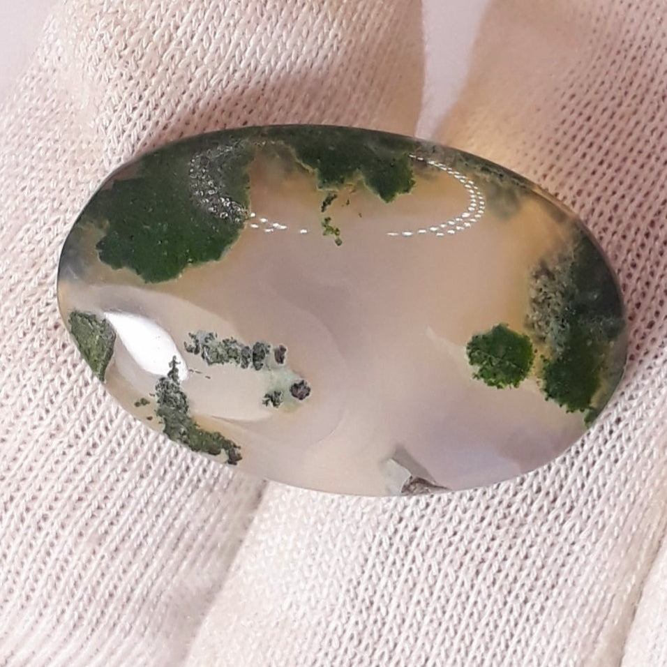 11.6ct- Green Moss Agate Cabochon - 23 x 15mm