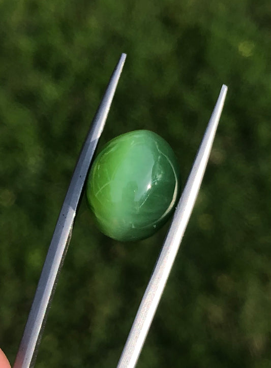 13.8ct - Green Cat’s Eye Nephrite Jade