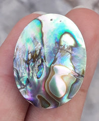 26.4ct Abalone Shell - Haliotis Iris, Paua Shells, Nacre, Mother-of-Pearl, Aulon, Sea ear - 27x21mm