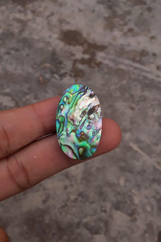 37.8ct Abalone Shell - Haliotis Iris, Paua Shells, Nacre, Mother-of-Pearl, Aulon, Sea ear - 33.8x20mm