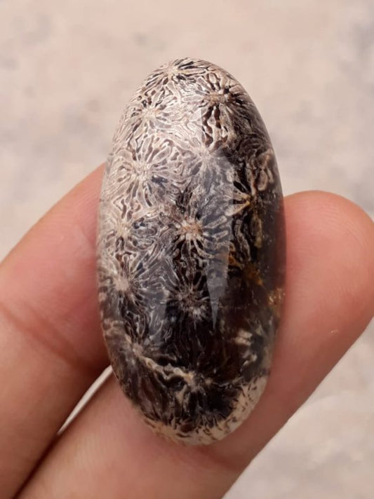 天然菊花宝石又名玛瑙珊瑚凸圆形宝石 - 39x20 毫米