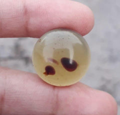 6.7ctNatural Amber Cabochon Circle Shape - also called Gold of the North - 19.4mm