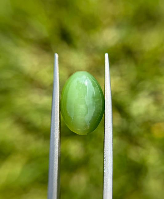 9.1ct - Green Cat’s Eye Nephrite Jade