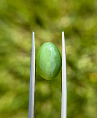 9.1ct - Green Cat’s Eye Nephrite Jade