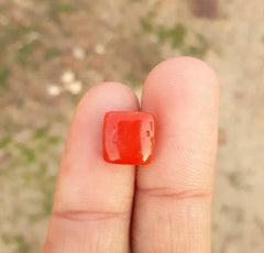 5ct Red Coral Stone - Moonga Stone - Marjan Stone - Pagadam Stone - 10x10mm