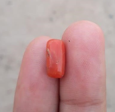 3.9 克拉珊瑚石 - Moonga 石 - Marjan 石 - Pagadam 石 - 11x4mm