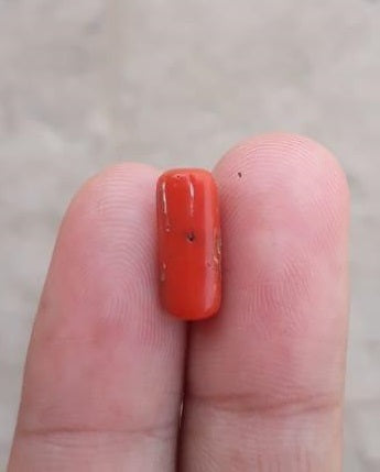 4.45 克拉珊瑚石 - Moonga 石 - Marjan 石 - Pagadam 石 - 13x5mm