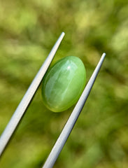 9.1ct - Green Cat’s Eye Nephrite Jade