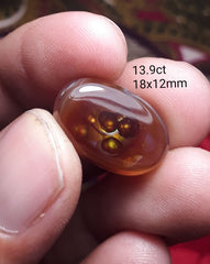 17.5ct Mexican Fire Agate suitable for Ring, Rare Fire Agate - Dimensions 21x14mm