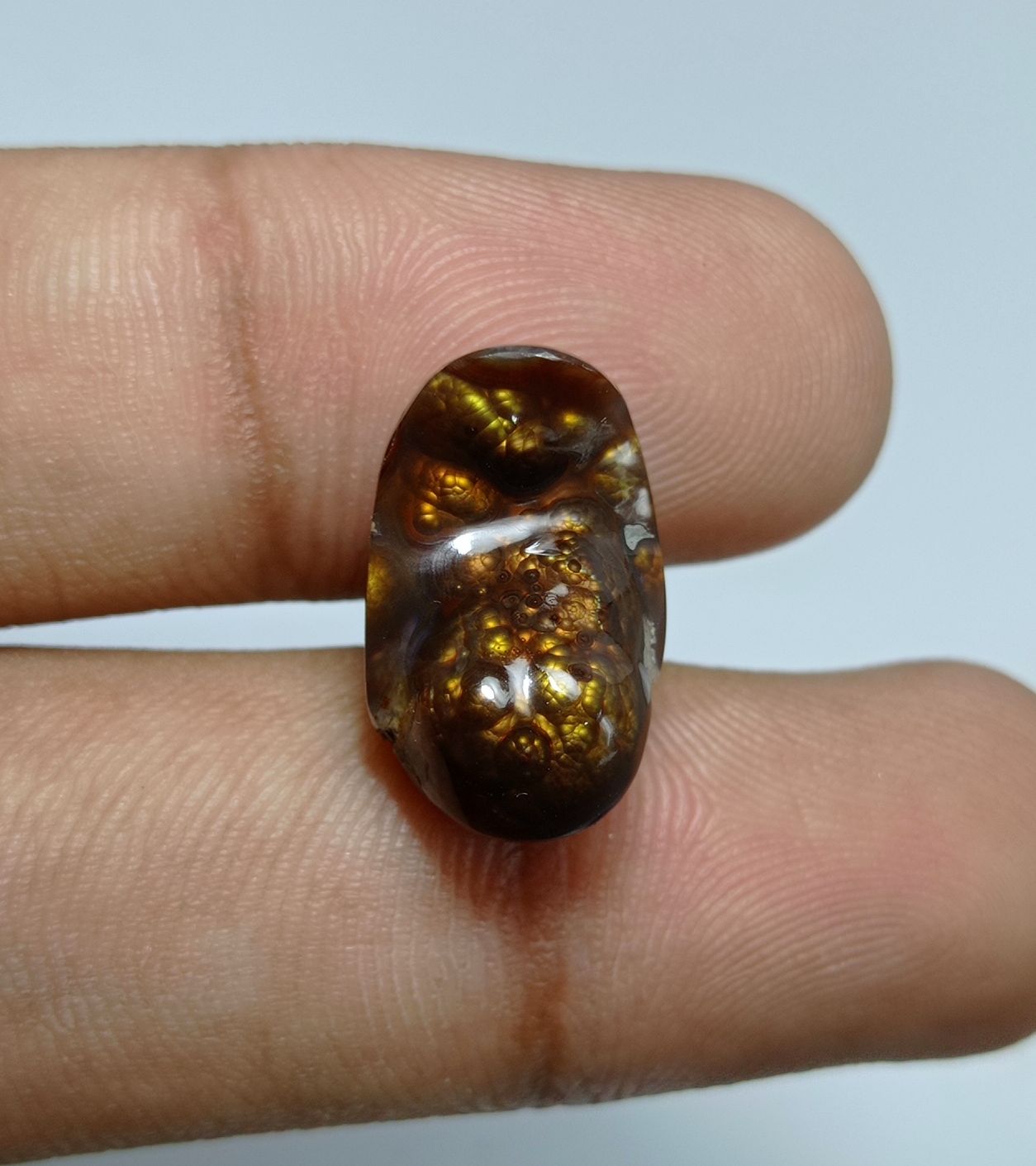 12ct Bubbly Fire Agate Carved Cabochon -  Dimensions 19x11.5x8mm