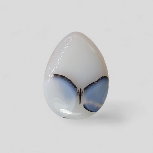 Rare Butterfly Pattern inside Natural Dendritic Agate Gemstone - Collector Gemstone - 31.1 cartats