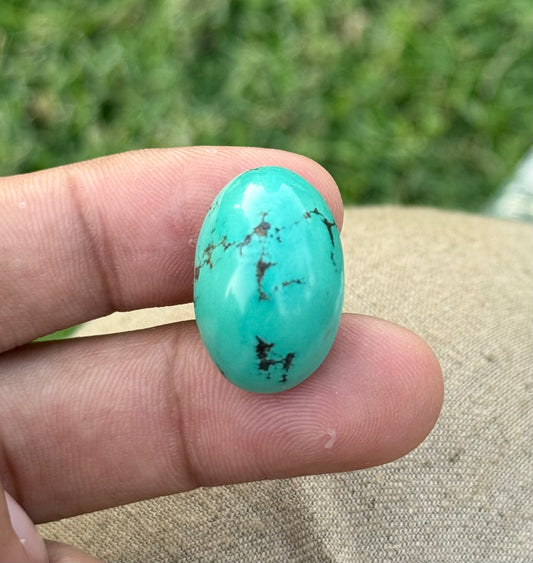 34.2ct Natural Green Turquoise - Feroza Stone