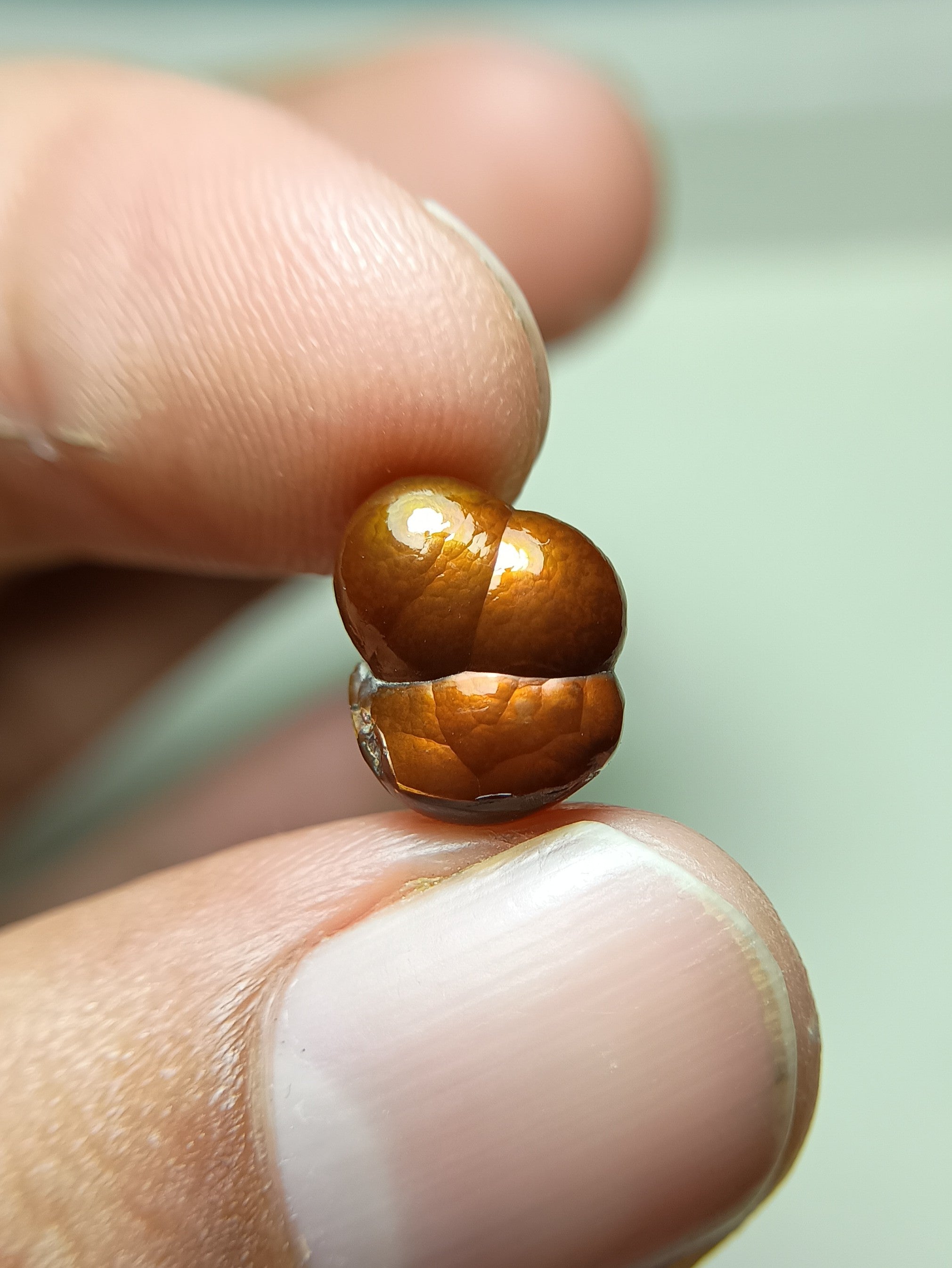 Beautiful Fire Agate Carving - Agate De Feugo