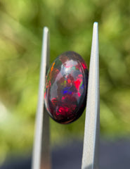 5.05ct  Black Fire Opal - October Birthstone