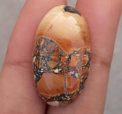 20.8ct Jasper - Maligano Jasper Cabochon - Jasper Maligano- 28.5x17mm