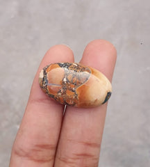 20.8ct Jasper - Maligano Jasper Cabochon - Jasper Maligano- 28.5x17mm