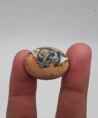 22ct Jasper - Maligano Jasper Cabochon - Jasper Maligano- 23x18mm