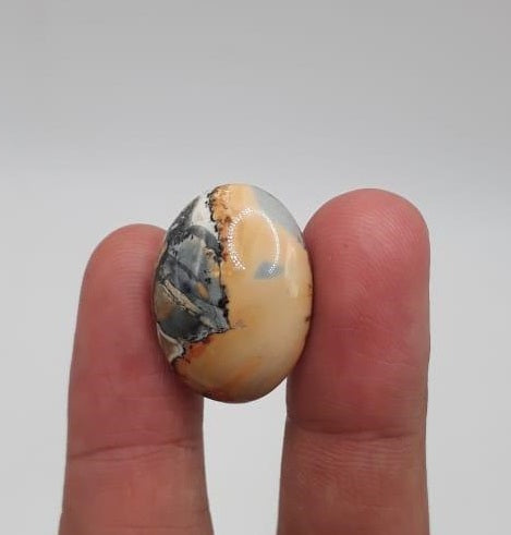 22ct Jasper - Maligano Jasper Cabochon - Jasper Maligano- 23x18mm