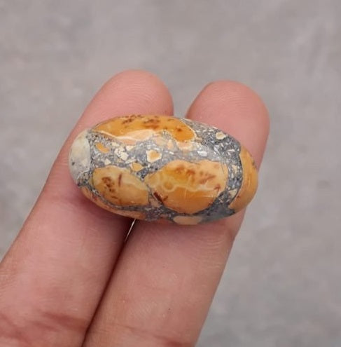 28.4ct Jasper - Maligano Jasper Cabochon - Jasper Maligano- 28x16.5mm