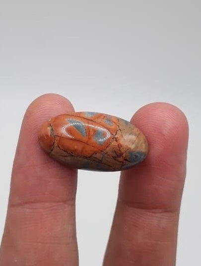 18ct Jasper - Maligano Jasper Cabochon - Jasper Maligano- 25x13mm