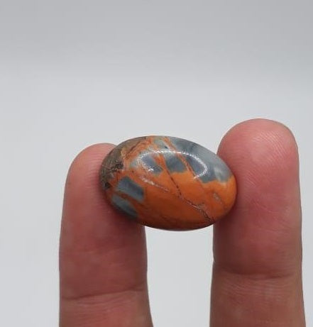 18.7ct Jasper - Maligano Jasper Cabochon - Jasper Maligano- 23x15mm