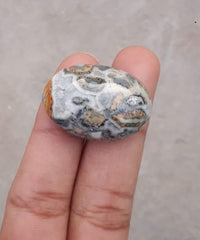 42.6ct Jasper - Maligano Jasper Cabochon - Jasper Maligano- 29x21mm