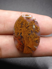 28.6ct Moss Agate - Golden Moss Agate - 30.5x20.5x6mm