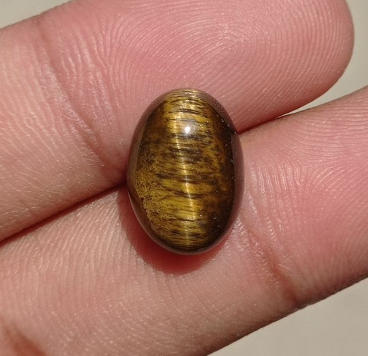 9.2ct Tiger Eye Cabochon - June Birthstone - June Birthstone -  16x11x7mm