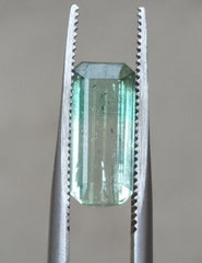 2.7 克拉天然双色碧玺宝石 - 十月诞生石 - 13x6x4 毫米