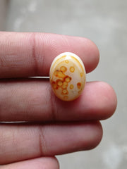 Orbicular Agate Cabochon - Sulaimani Aqeeq - 20x15mm