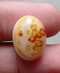 Orbicular Agate Cabochon - Sulaimani Aqeeq - 20x15mm