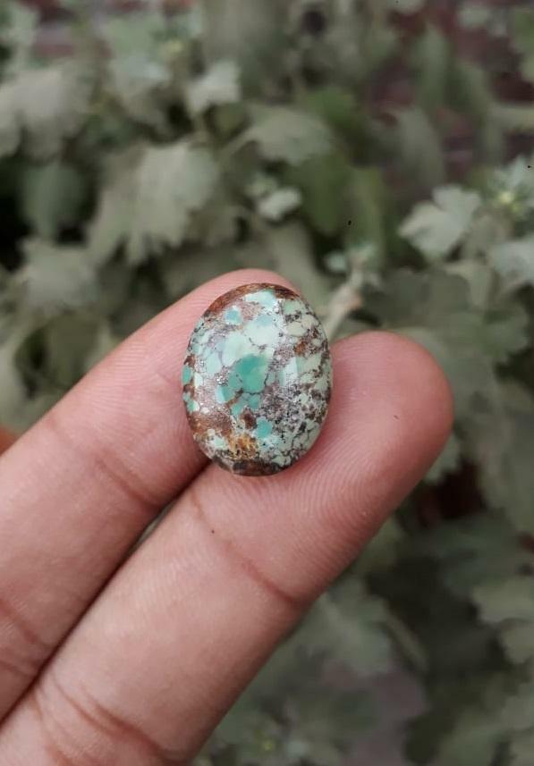 Natural Turquoise, Green Matrix Turquoise  - 19x14.7mm