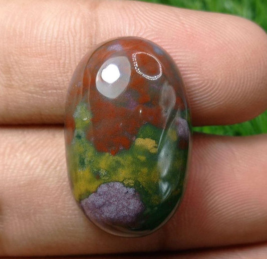 46.5 克拉帝王品质血石 - 天芥菜 - Hajr-ul-Dam-29x18mm