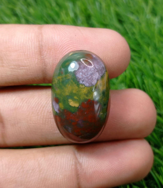 46.5 克拉帝王品质血石 - 天芥菜 - Hajr-ul-Dam-29x18mm