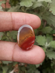 13.5ct Natural High Quality Blood Stone - Heliotrope - Dimension-22x16.5mm