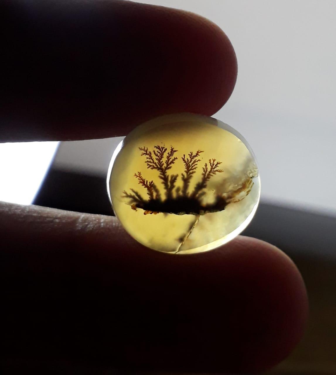 10.6ct Natural Dendritic Agate - Shajri Aqeeq - Dimension-15x14mm