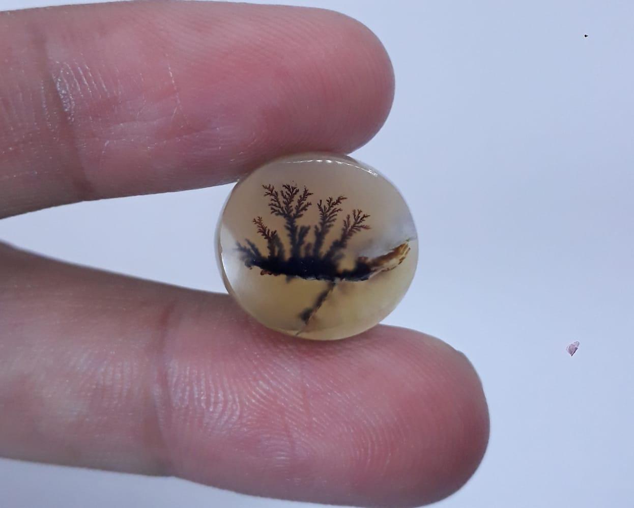 10.6ct Natural Dendritic Agate - Shajri Aqeeq - Dimension-15x14mm