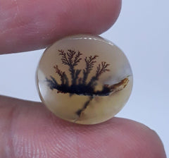 10.6ct Natural Dendritic Agate - Shajri Aqeeq - Dimension-15x14mm