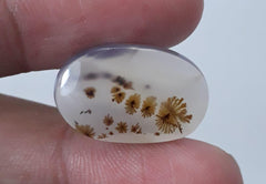 12.5ct Natural Dendritic Agate - Shajri Aqeeq - Dimension-20x13mm