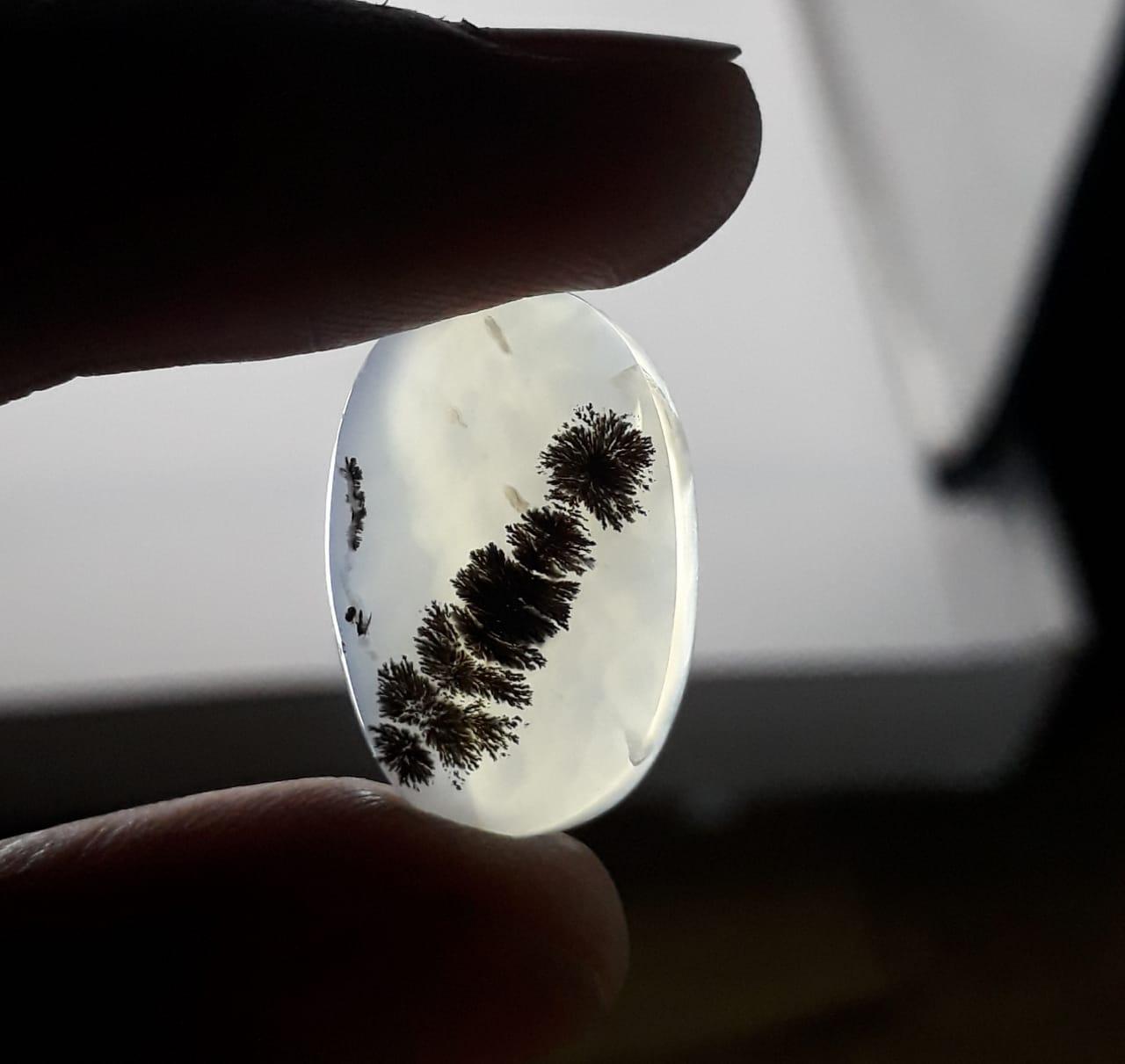 12.8ct Natural Dendritic Agate - Shajri Aqeeq - Dimension-19x12mm