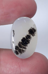 12.8ct Natural Dendritic Agate - Shajri Aqeeq - Dimension-19x12mm