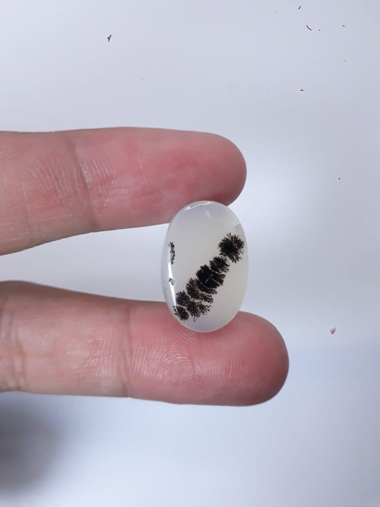 12.8ct Natural Dendritic Agate - Shajri Aqeeq - Dimension-19x12mm