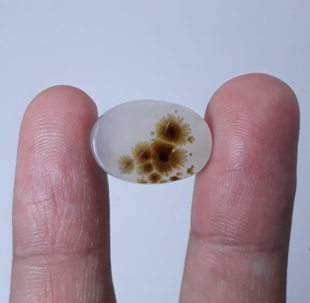 13ct Natural Dendritic Agate - Shajri Aqeeq - Dimension-17x12mm